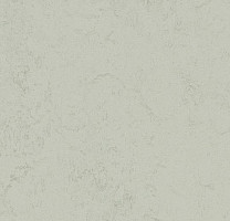 Линолеум Forbo Marmoleum Decibel on Order 373235 asteroid фото 1 | FLOORDEALER